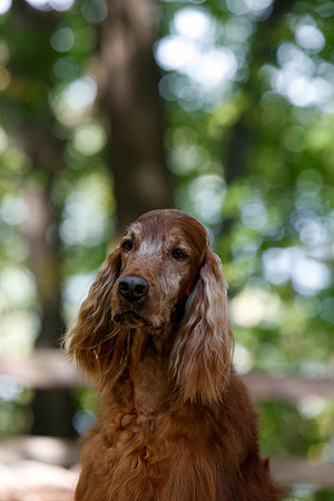 2021-KathleenRileyPhotography-7140