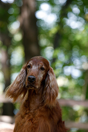 2021-KathleenRileyPhotography-7141