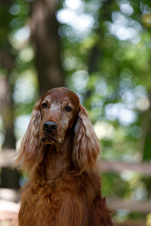 2021-KathleenRileyPhotography-7142