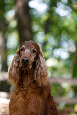 2021-KathleenRileyPhotography-7143