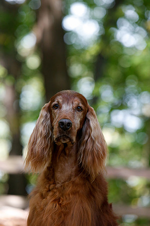 2021-KathleenRileyPhotography-7144