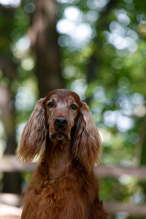 2021-KathleenRileyPhotography-7147