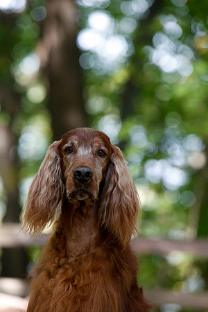 2021-KathleenRileyPhotography-7150