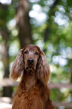 2021-KathleenRileyPhotography-7152