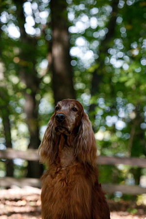 2021-KathleenRileyPhotography-7157