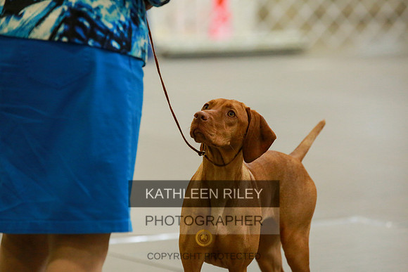 2022-KathleenRileyPhotography-8844
