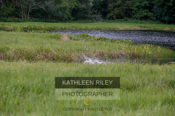 2022-KathleenRileyPhotography-3347