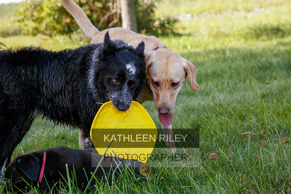 2022-KathleenRileyPhotography-5562