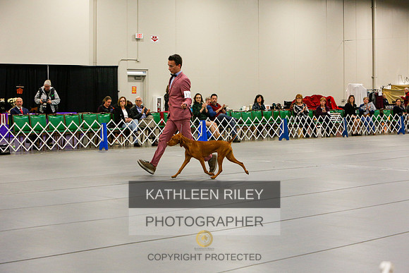 2022-KathleenRileyPhotography-5672