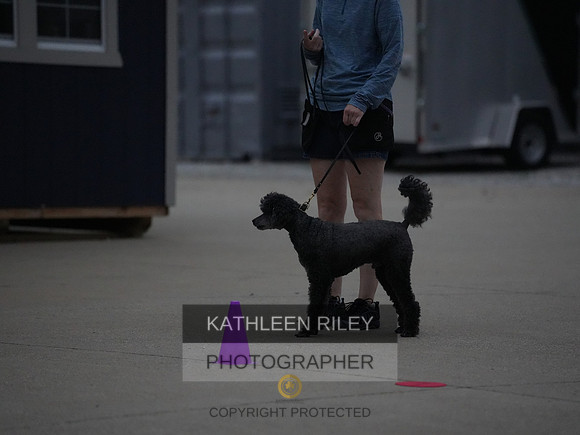 2022-KathleenRileyPhotography212