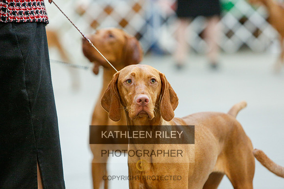 2022-KathleenRileyPhotography-3854