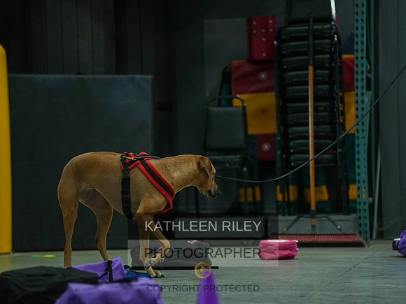2022-KathleenRileyPhotography-03777