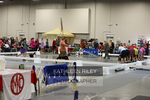 KARD8093