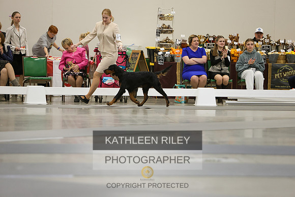 KARD8270