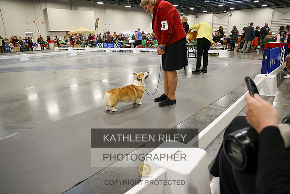 WGMC3986