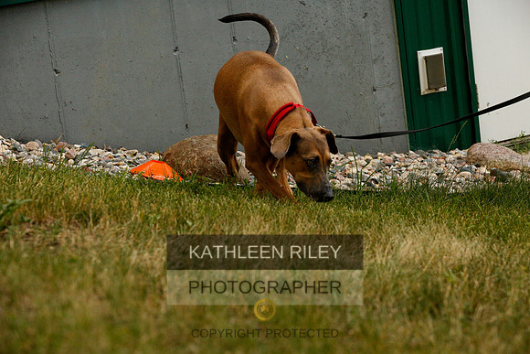 2022-KathleenRileyPhotography-0384