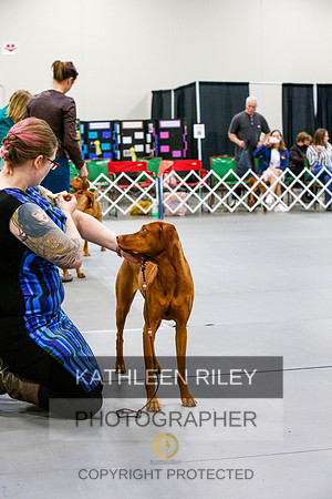 2022-KathleenRileyPhotography-6996