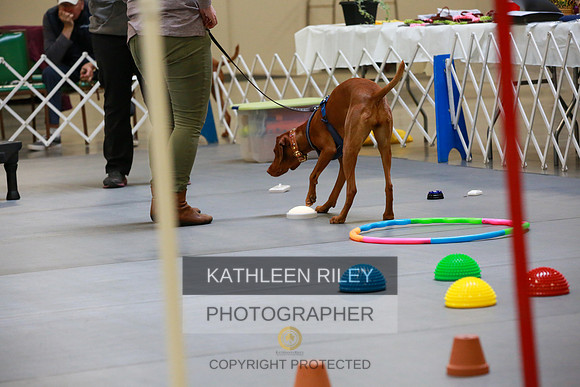 2022-KathleenRileyPhotography-7818