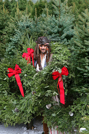 Minnesota Jack Sparrow