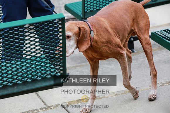 2022-KathleenRileyPhotography-7371