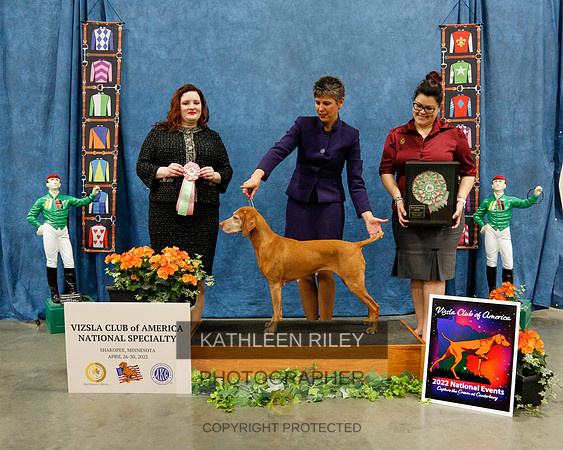 2022-KathleenRileyPhotography-7203