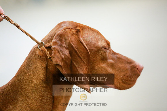2022-KathleenRileyPhotography-8795