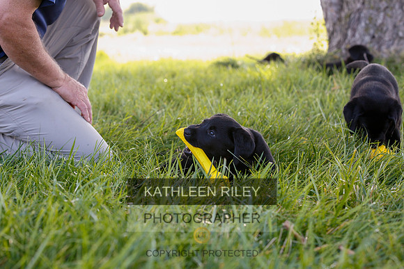 2022-KathleenRileyPhotography-7882