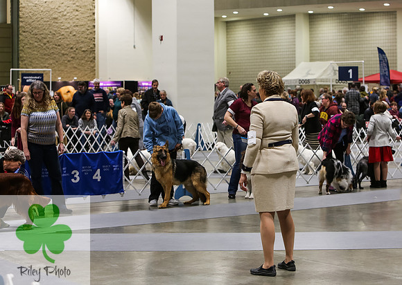 2019 Land O Lakes Kennel Club Dog Show Handler Clinic