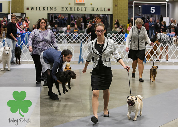 2019 Land O Lakes Kennel Club Dog Show Handler Clinic