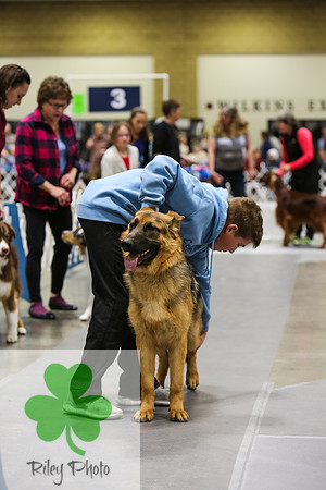 2019 Land O Lakes Kennel Club Dog Show Handler Clinic