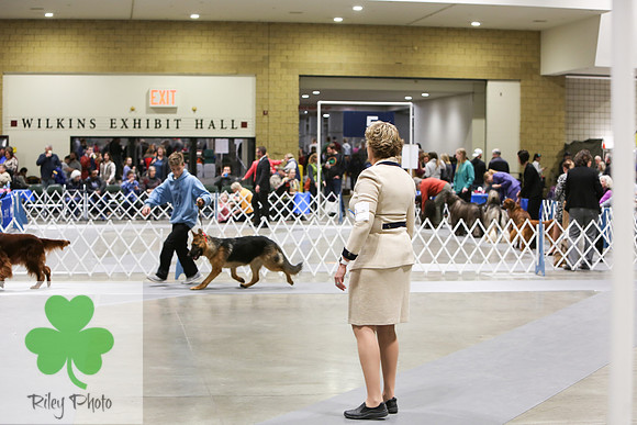 2019 Land O Lakes Kennel Club Dog Show Handler Clinic