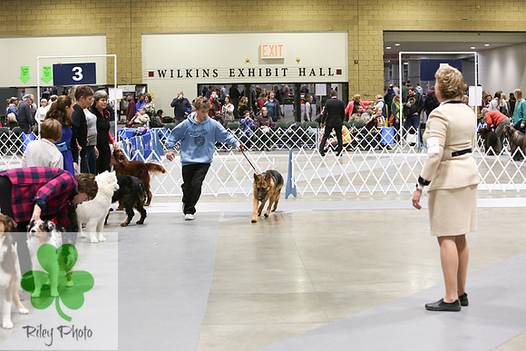 2019 Land O Lakes Kennel Club Dog Show Handler Clinic