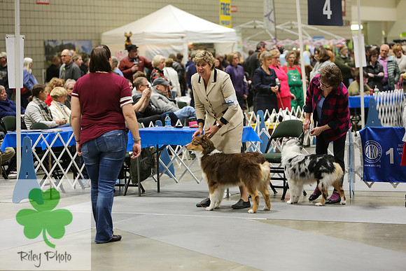 2019 Land O Lakes Kennel Club Dog Show Handler Clinic