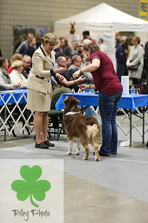 2019 Land O Lakes Kennel Club Dog Show Handler Clinic