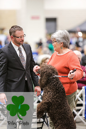 2019 Land O Lakes Kennel Club Dog Show Handler Clinic