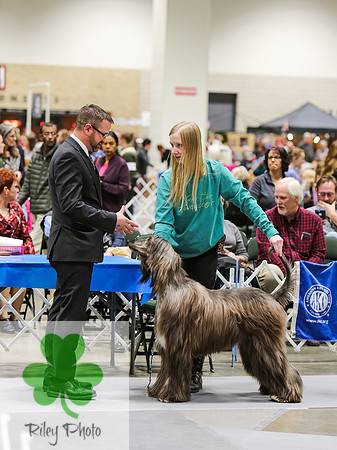 2019 Land O Lakes Kennel Club Dog Show Handler Clinic