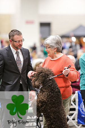 2019 Land O Lakes Kennel Club Dog Show Handler Clinic