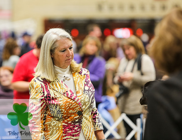 2019 Land O Lakes Kennel Club Dog Show Handler Clinic