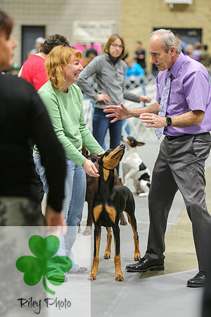 2019 Land O Lakes Kennel Club Dog Show Handler Clinic