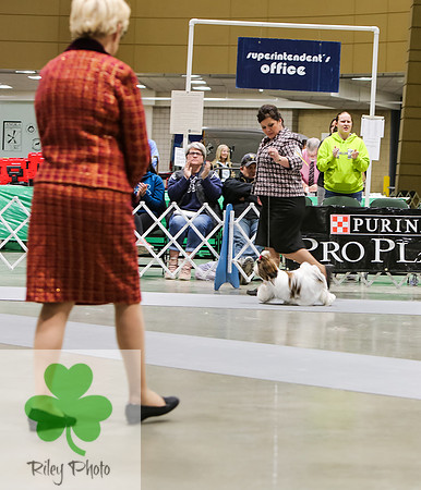2019 Land O Lakes Kennel Club Dog Show