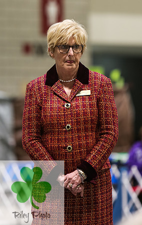 2019 Land O Lakes Kennel Club Dog Show