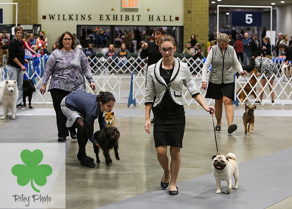 2019 Land O Lakes Kennel Club Dog Show Handler Clinic