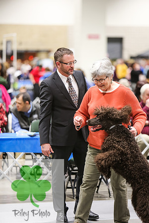 2019 Land O Lakes Kennel Club Dog Show Handler Clinic