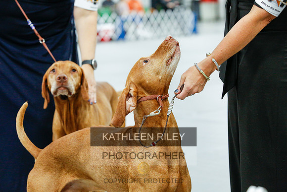 2022-KathleenRileyPhotography-0158