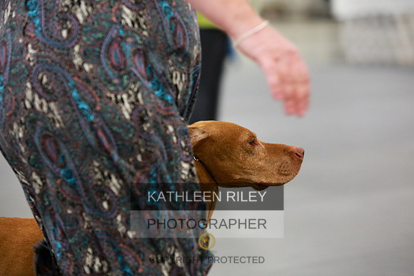 2022-KathleenRileyPhotography-7846