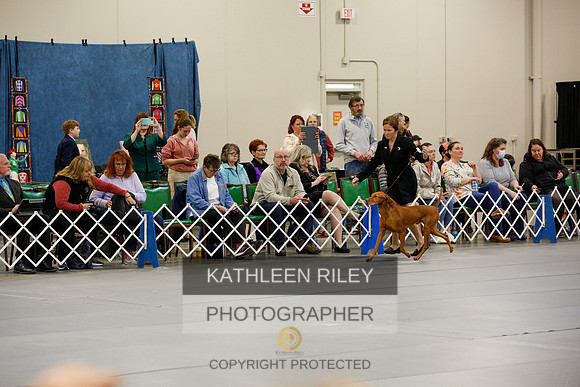 2022-KathleenRileyPhotography-1011