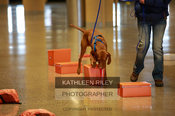 2022-KathleenRileyPhotography-7407