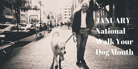 National Walk Your Dog Month January