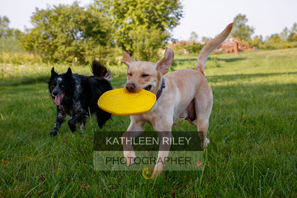 2022-KathleenRileyPhotography-5591