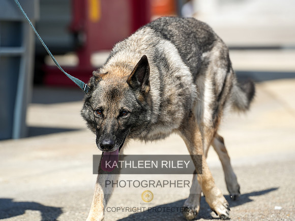 2022-KathleenRileyPhotography-04300